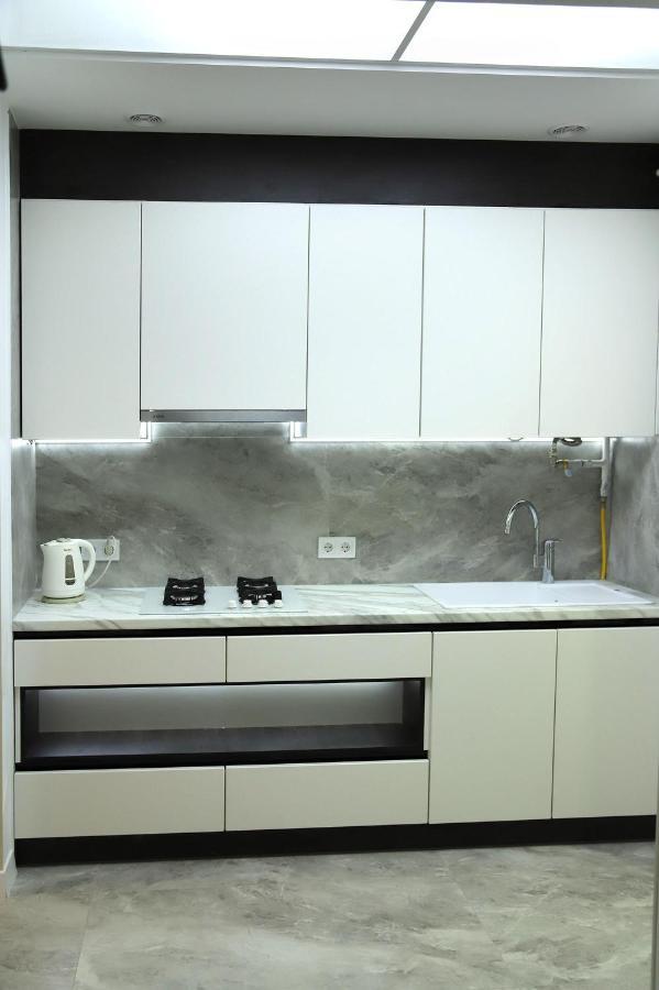 Historical Centre Apartment Lemberg